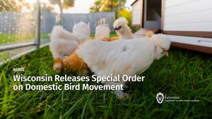 Wisconsin Releases Special Order on Domestic Bird Movement