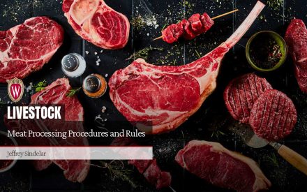Meat Processing Procedures and Rules