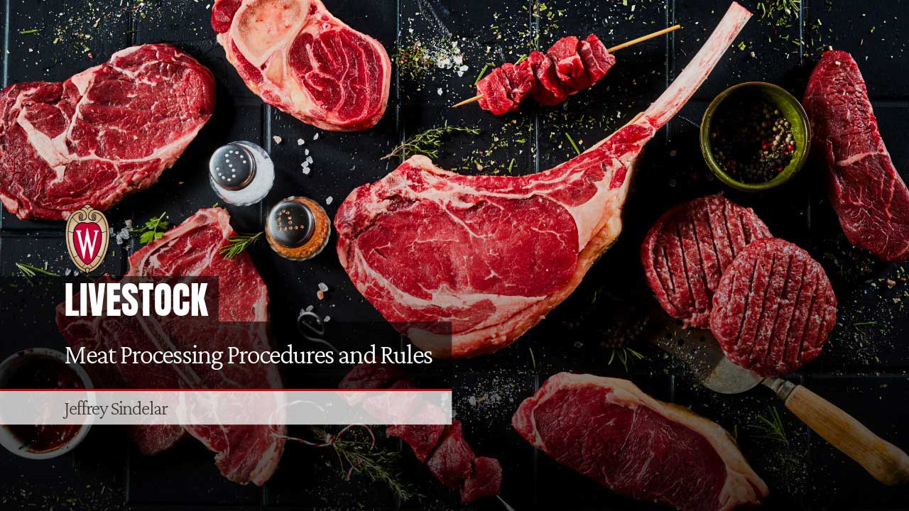 Assorted raw beef cuts on a dark surface with seasonings. "Meat Processing Procedures and Rules" by Jeffrey Sindelar.
