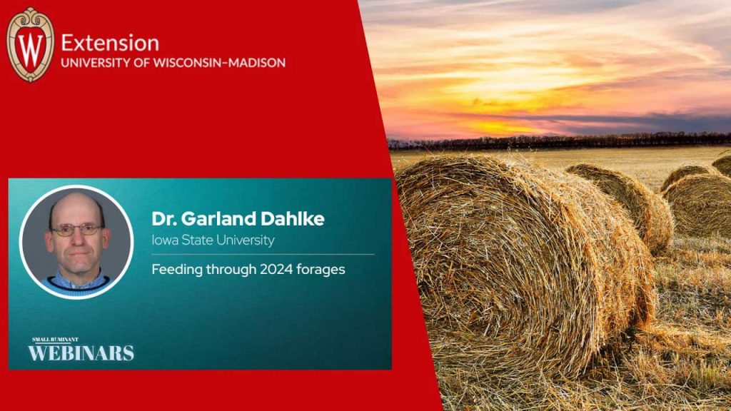 Feeding Through 2024 Forages