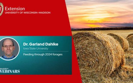 Feeding Through 2024 Forages