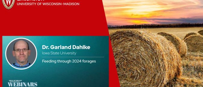 Feeding Through 2024 Forages