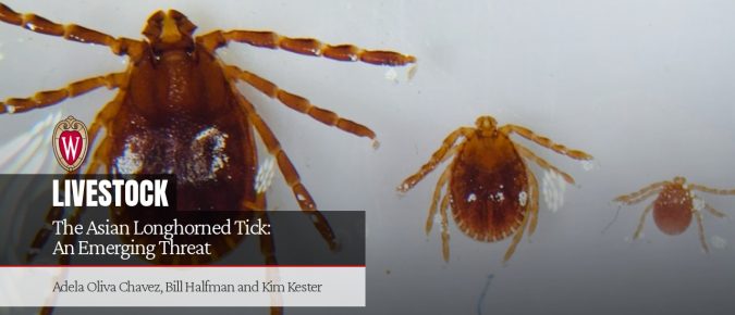 The Asian Longhorned Tick: An Emerging Threat