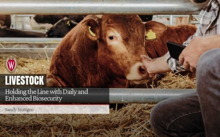 Holding the Line with Daily and Enhanced Biosecurity