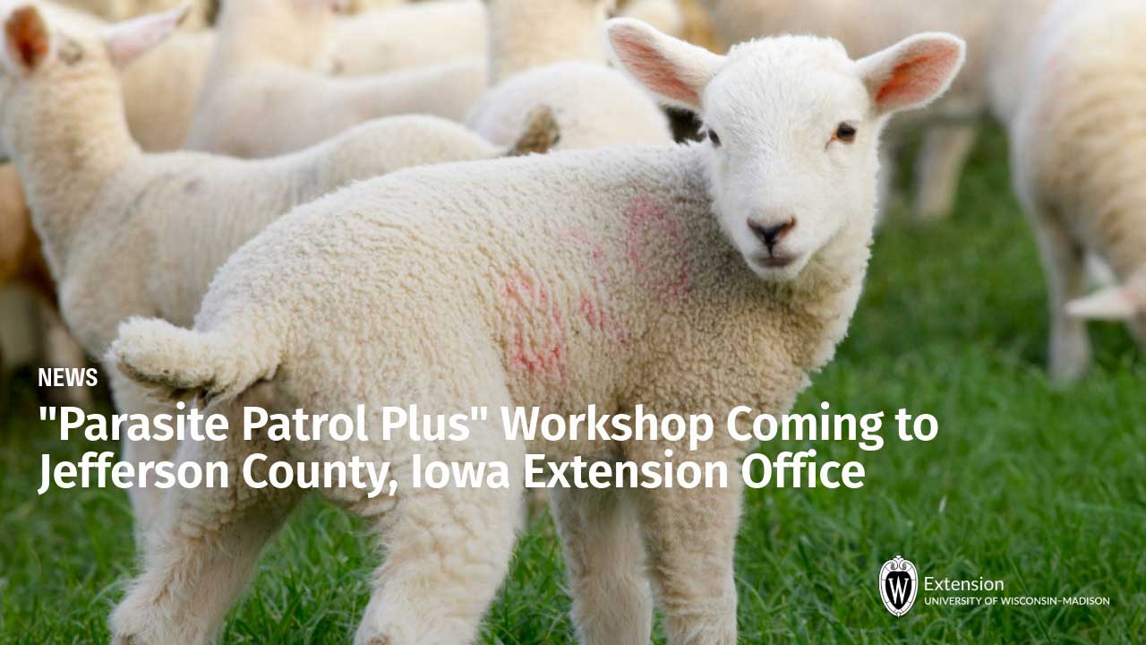 News article titled "Parasite Patrol Plus" Workshop Coming to Jefferson County, Iowa Extension Office; lamb in foreground of a flock on green grass.