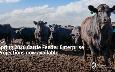 Spring 2026 Cattle Feeder Enterprise Projections now available