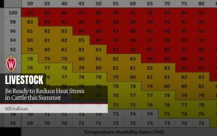 Be Ready to Reduce Heat Stress in Cattle this Summer