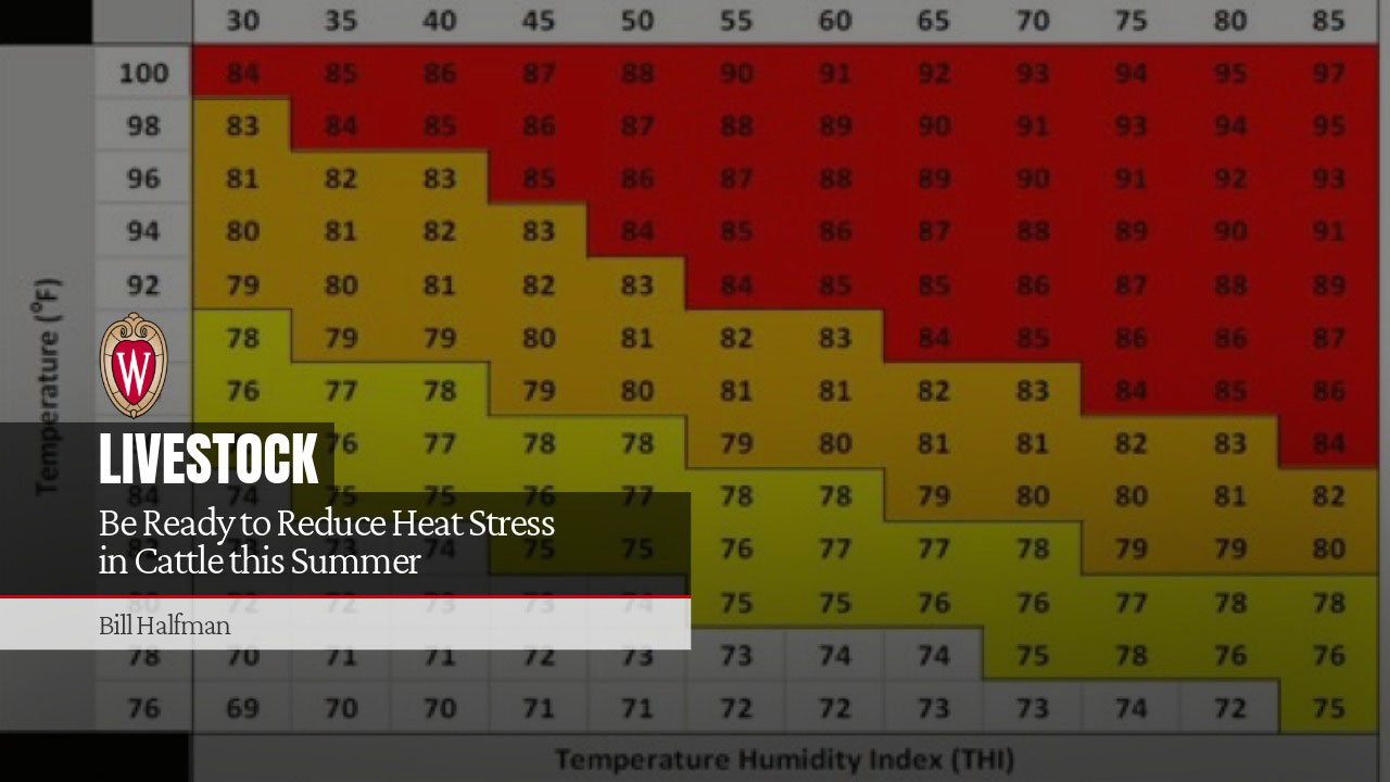 Cattle heat stress THI chart from UW-Madison article "Be Ready to Reduce Heat Stress in Cattle this Summer" by Bill Halfman.
