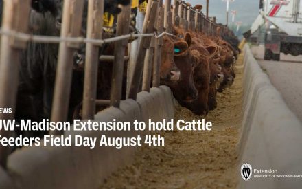 UW-Madison Extension to hold Cattle Feeders Field Day August 4th 
