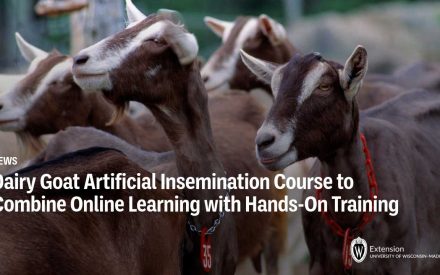 Dairy Goat Artificial Insemination Course to Combine Online Learning with Hands-On Training