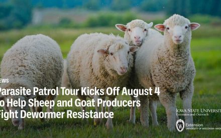 Parasite Patrol Tour Kicks Off August 4 to Help Sheep and Goat Producers Fight Dewormer Resistance