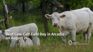 Beef Cow-Calf Field Day in Arcadia on August 24