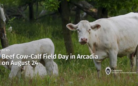 Beef Cow-Calf Field Day in Arcadia on August 24