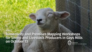 Biosecurity and Premises Mapping Workshops for Sheep and Livestock Producers in Gays Mills on October 13