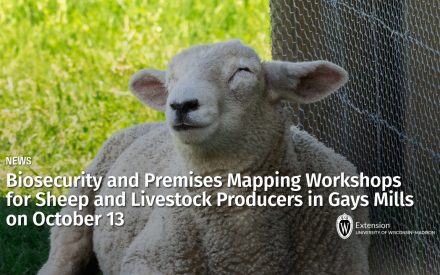 Biosecurity and Premises Mapping Workshops for Sheep and Livestock Producers in Gays Mills on October 13