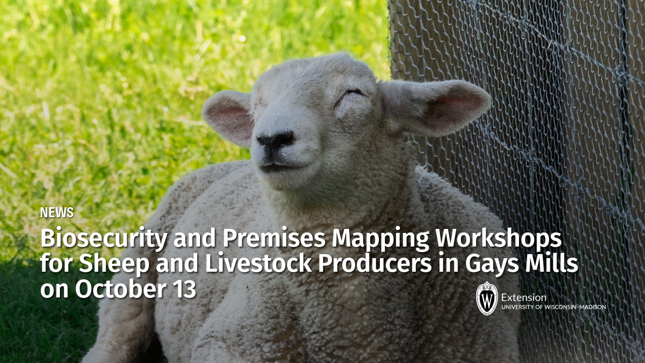 A light-colored sheep rests on green grass next to a wire fence under a news header for a UW-Madison Extension workshop.