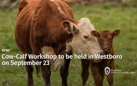 Cow-Calf Workshop to be held in Westboro on September 23