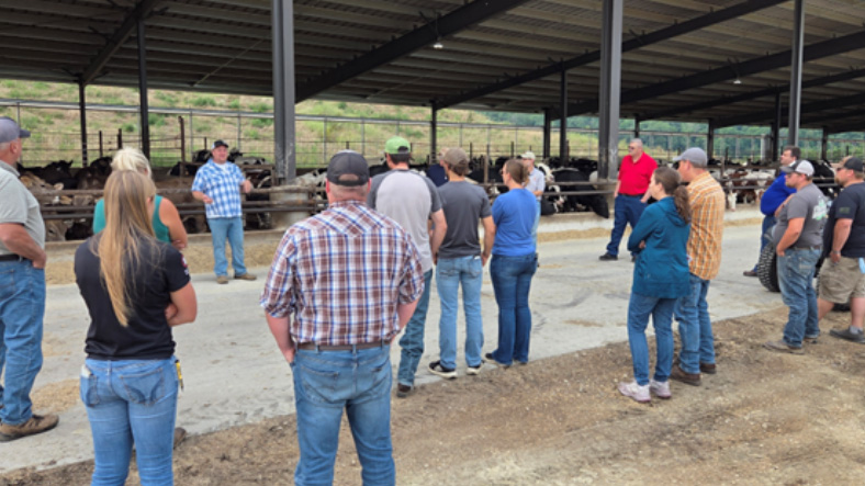A group of beef producers and ag service providers standing under a open-sided farm shelter listening to a speaker at a cattle meeting.