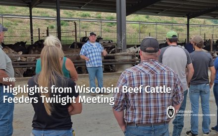 Highlights from Wisconsin Beef Cattle Feeders Twilight Meeting