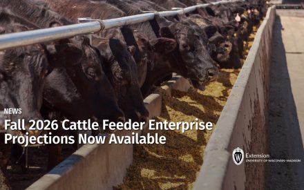 Fall 2026 Cattle Feeder Enterprise Projections Now Available
