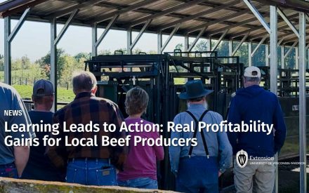 Learning Leads to Action: Real Profitability Gains for Local Beef Producers