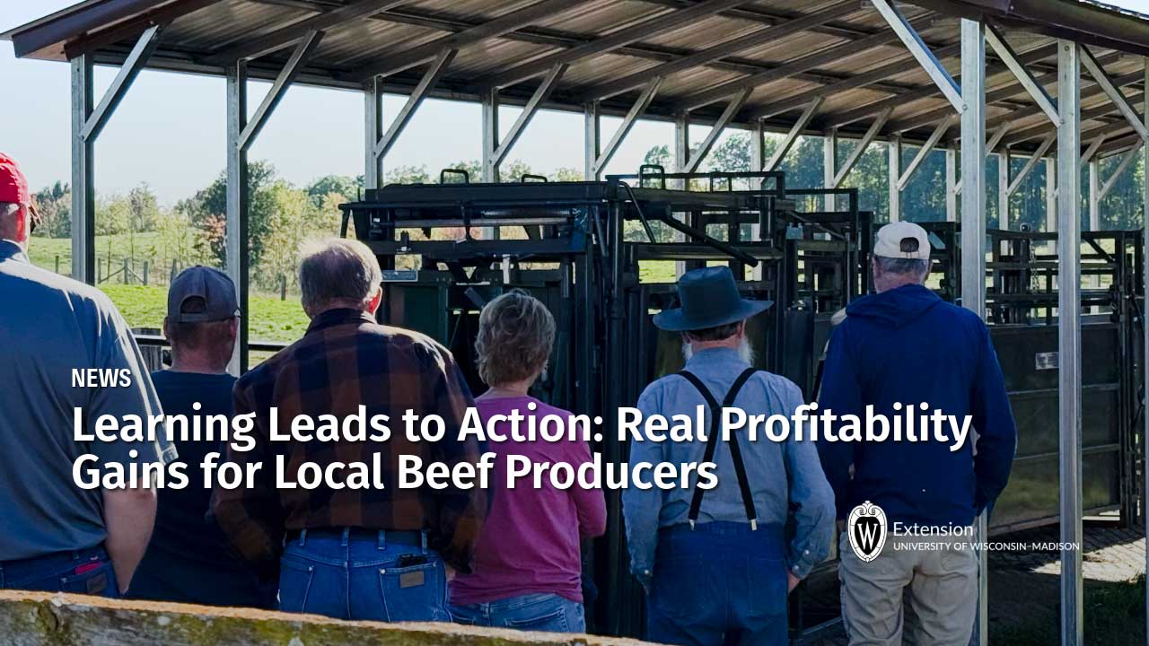 five people viewed from behind standing inside a metal agricultural shed or livestock handling facility, looking toward livestock chute equipment. Title of News post: "Learning Leads to Action: Real Profitability Gains for Local Beef Producers" by UW–Madison Extension.